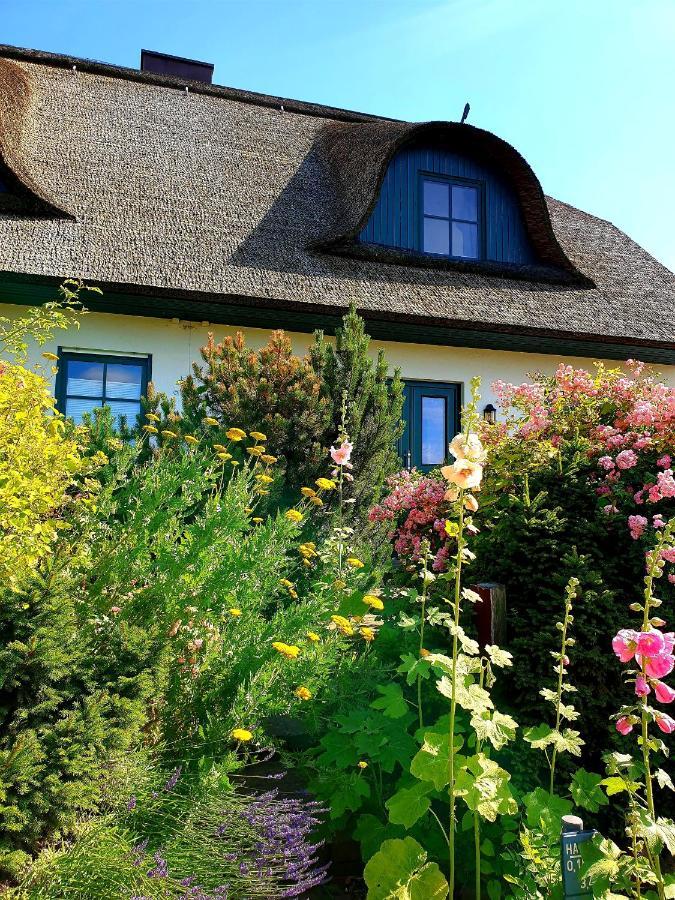 Insel Landhaus Bernstein Villa Gager Buitenkant foto